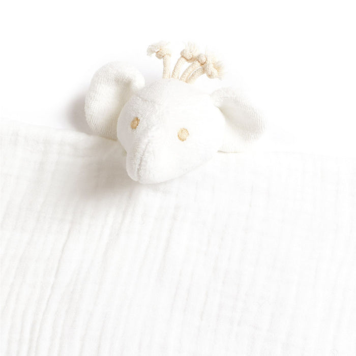 Tartine et Chocolat - Ligne coton bio - DD ELEPH COTBIO Ecru