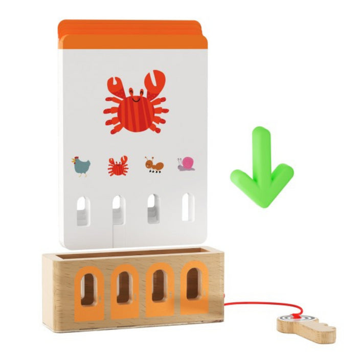 Topbright - Logical game - Beginner