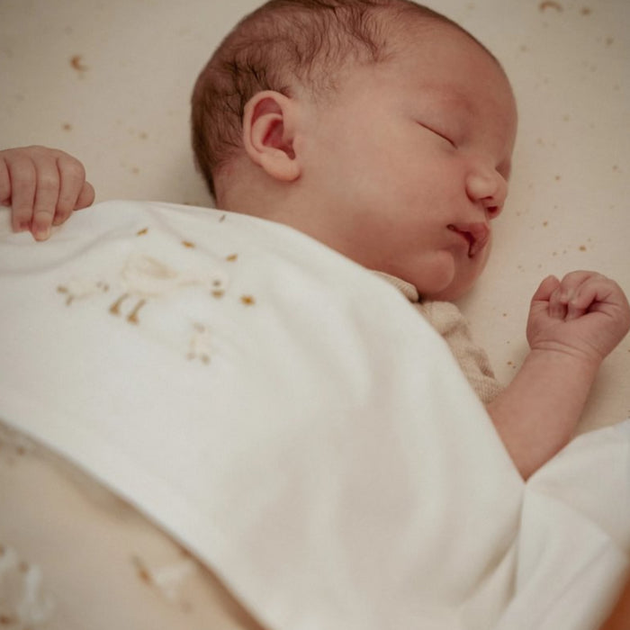 Little Dutch - Little Goose - Hoeslaken Ledikant - Moon & Stars