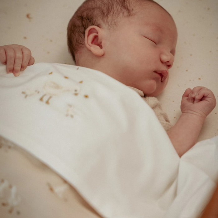 Little Dutch - Little Goose - Ledikantdeken Fleece