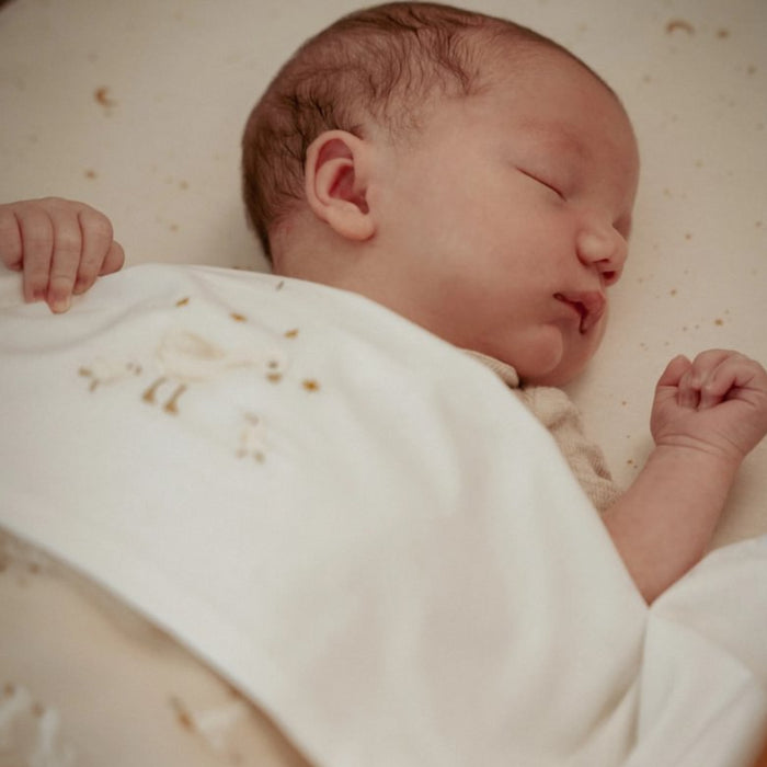 Little Dutch - Little Goose - Wiegdeken fleece