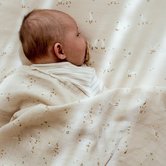 Little Dutch - Little Goose - Ledikantdeken