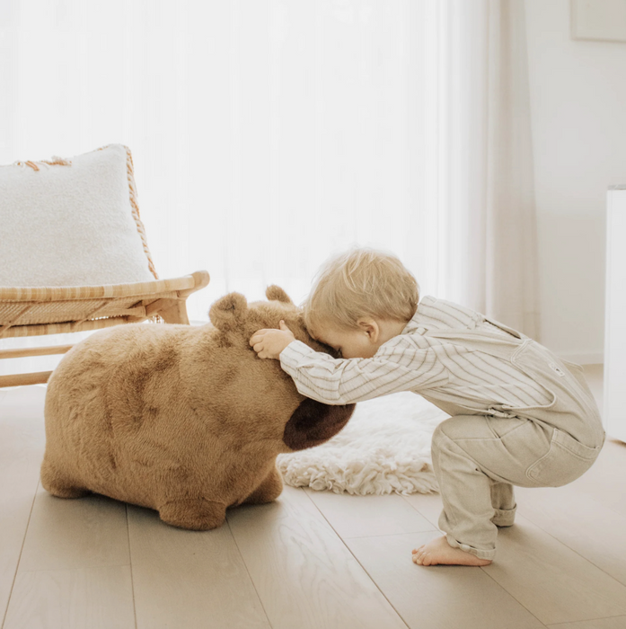Wild and Soft - Soft bouncy Capibara