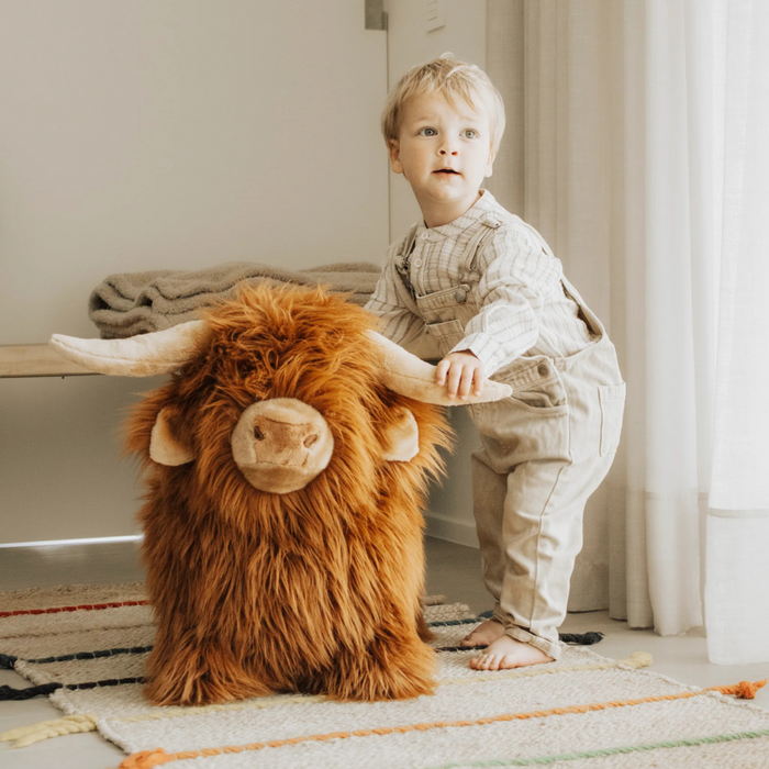 Wild and Soft - Soft bouncy Highland Cow