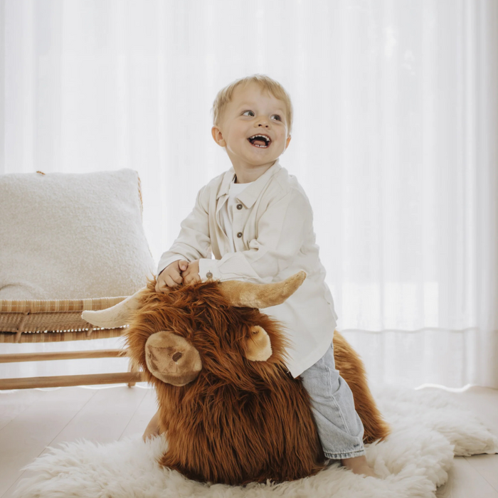 Wild and Soft - Soft bouncy Highland Cow