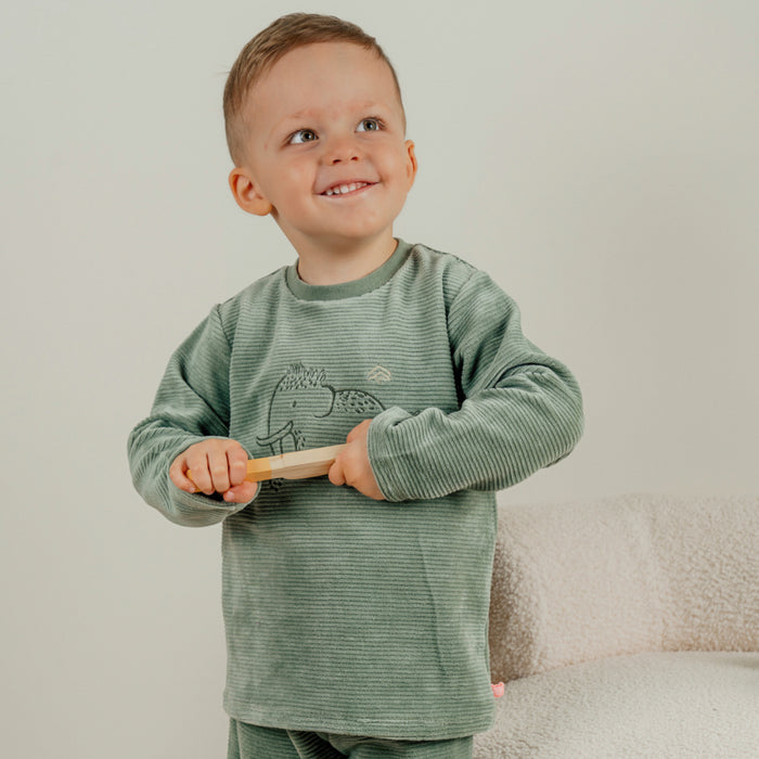 Noukies - Groen fluwelen pyjamaset met mammoetborduursel