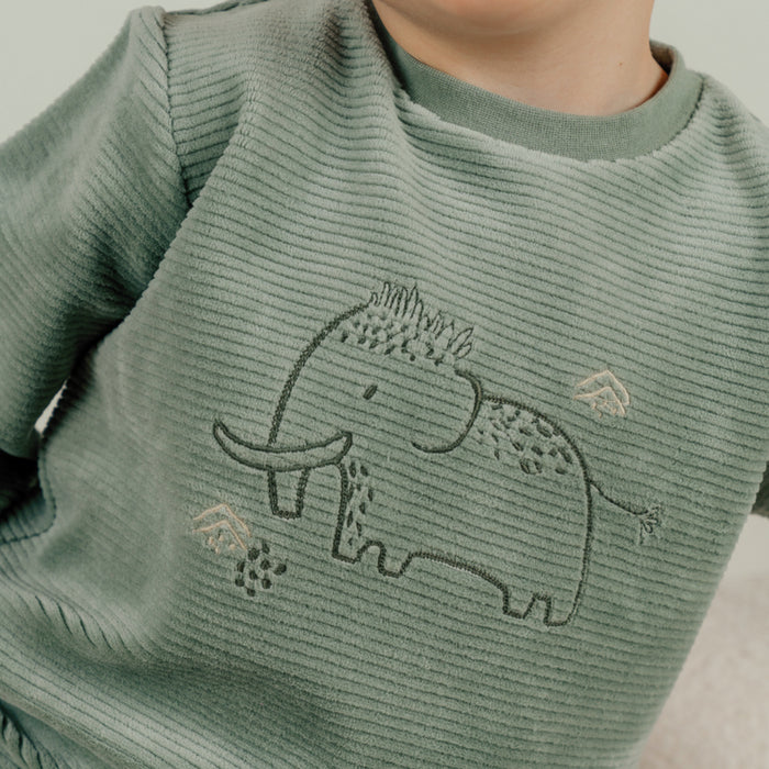 Noukies - Groen fluwelen pyjamaset met mammoetborduursel