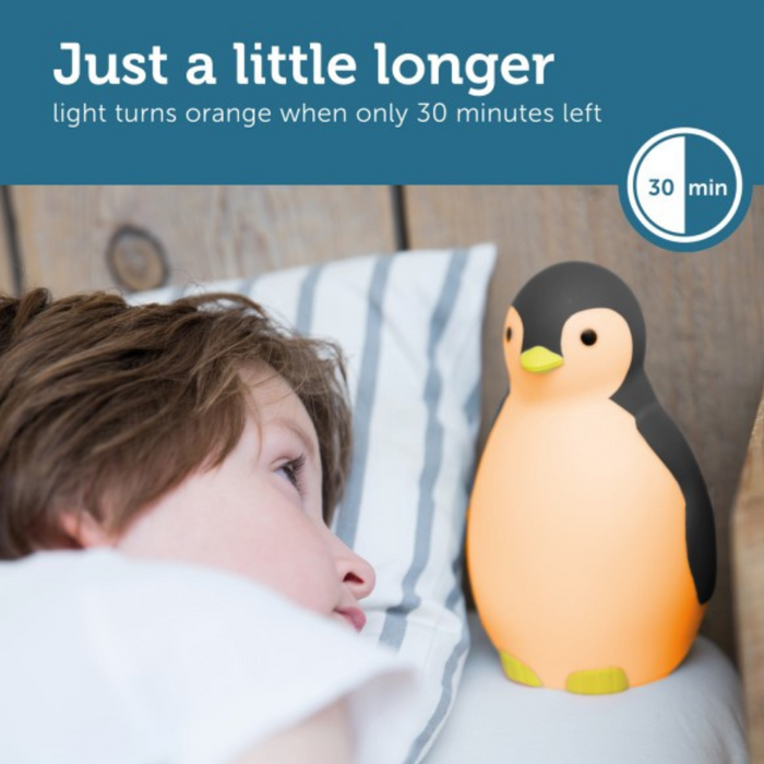 ZAZU - Sleeptrainer Penguin - Pam Grey