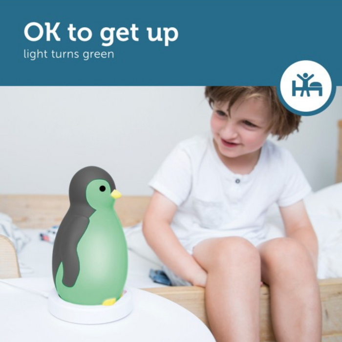 ZAZU - Sleeptrainer Penguin - Pam Grey