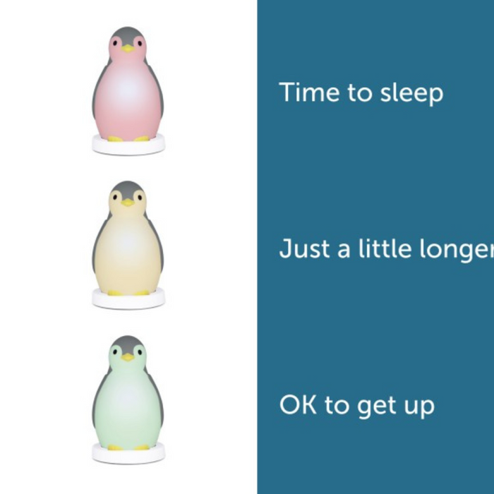 ZAZU - Sleeptrainer Penguin - Pam Grey