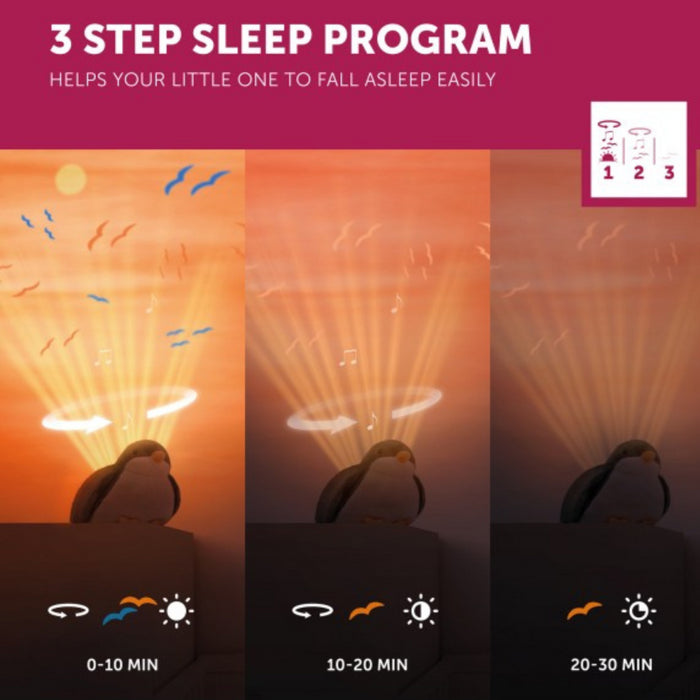 ZAZU - Sunset Projector - Shally Green