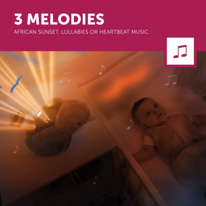 ZAZU - Sunset Projector - Shally Green