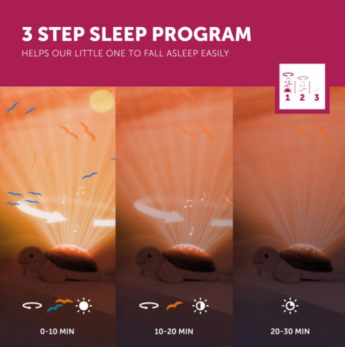 Zazu - Sunset Projector - Tim the turtle