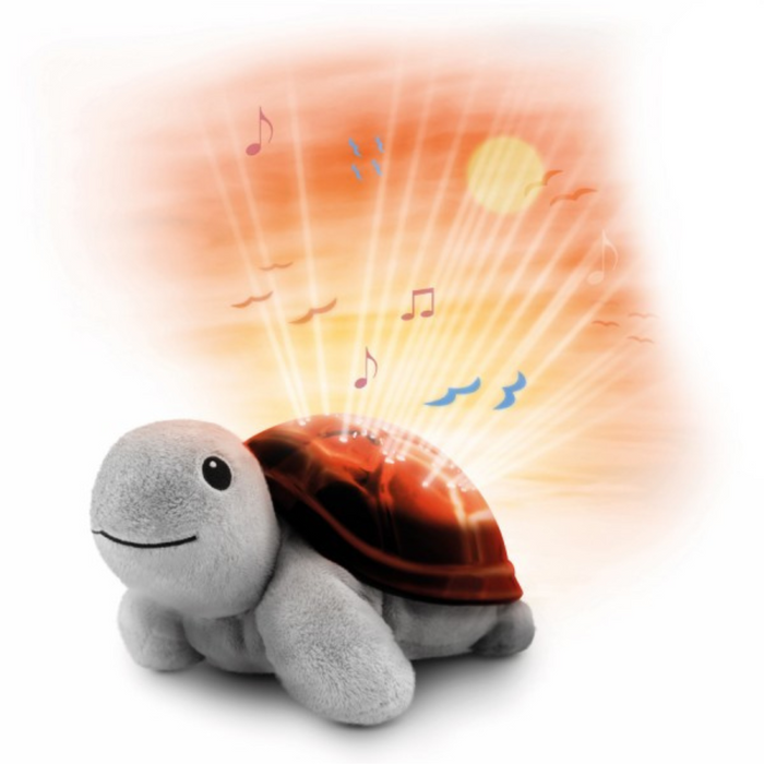 Zazu - Sunset Projector - Tim the turtle
