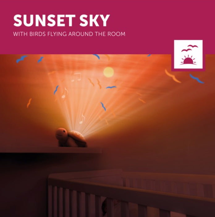 Zazu - Sunset Projector - Tim the turtle