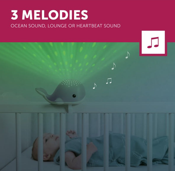 ZAZU - Wally Light Projector - Purple